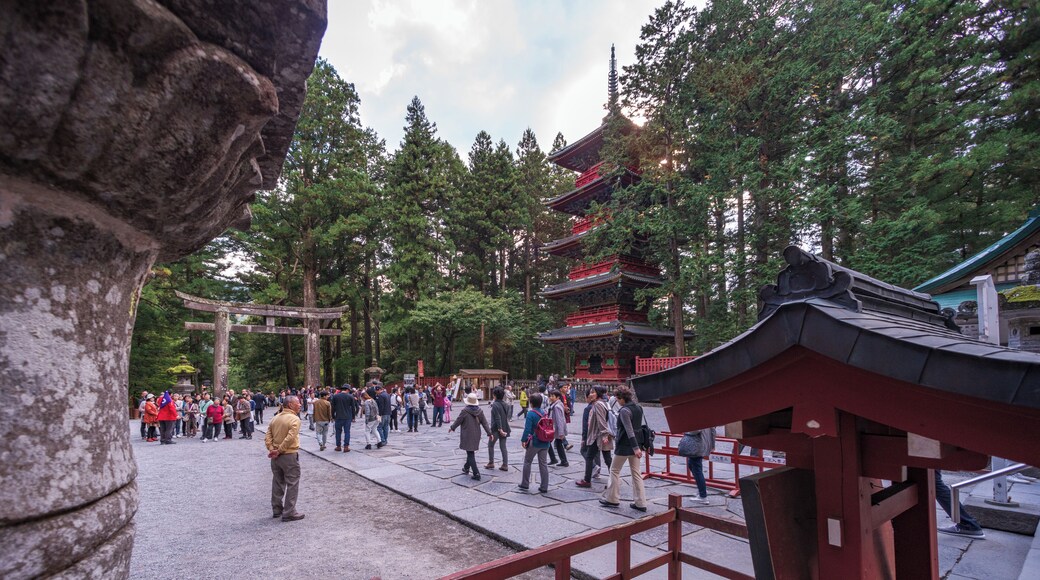 EyeEm Custom Shoots Q4 2018