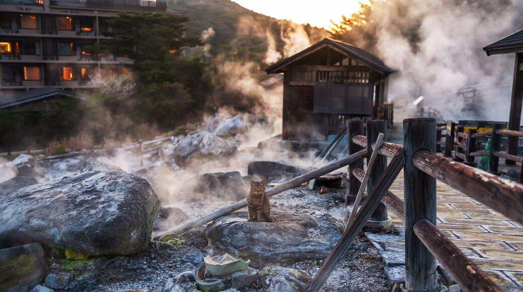 A steam bath area with rocks, wooden structures, and a wooden fence.