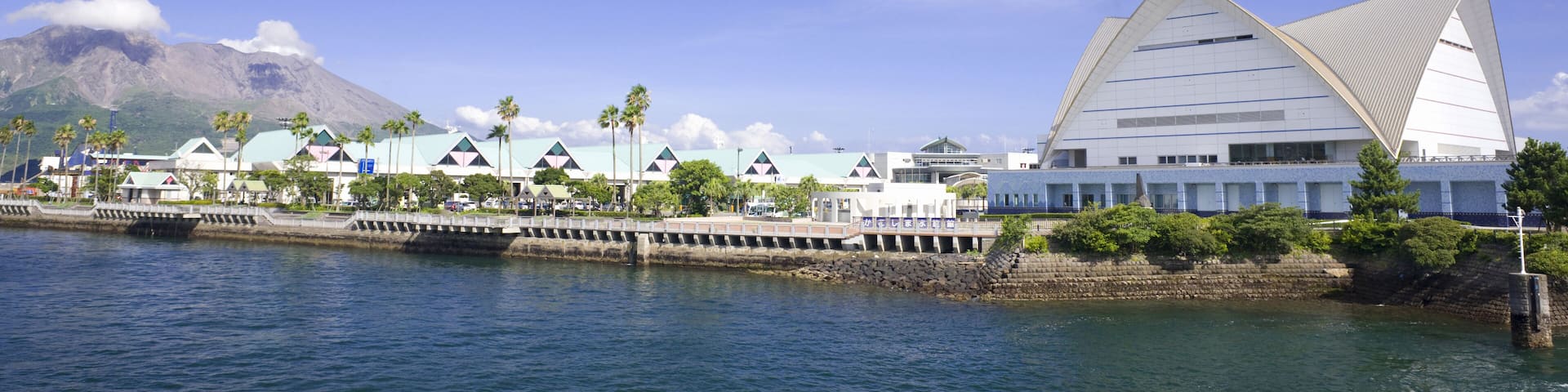 Sakurajima Island And Io World Kagoshima Aquarium; Shutterstock ID 204314572; purchase_order: SF 06557000; job: ; client: ; other: