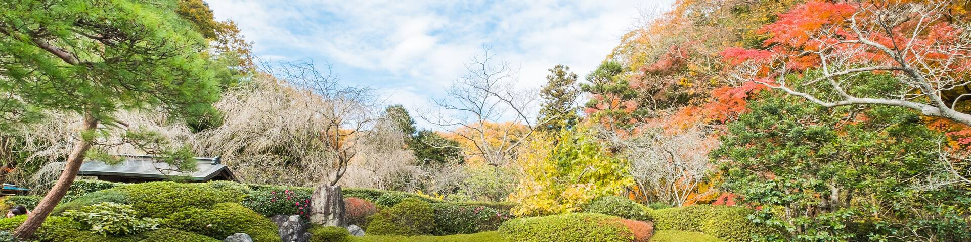 Beautiful autumn landscape at Meigetsuin,Kamakura; Shutterstock ID 682451479; Purchase Order: -