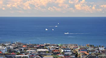 The photo was taken on Kamakurayama in Kamakura city in Kanagawa prefecture in Japan.