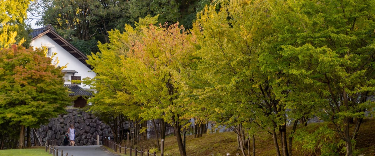 Kanazawa Castle featuring a garden