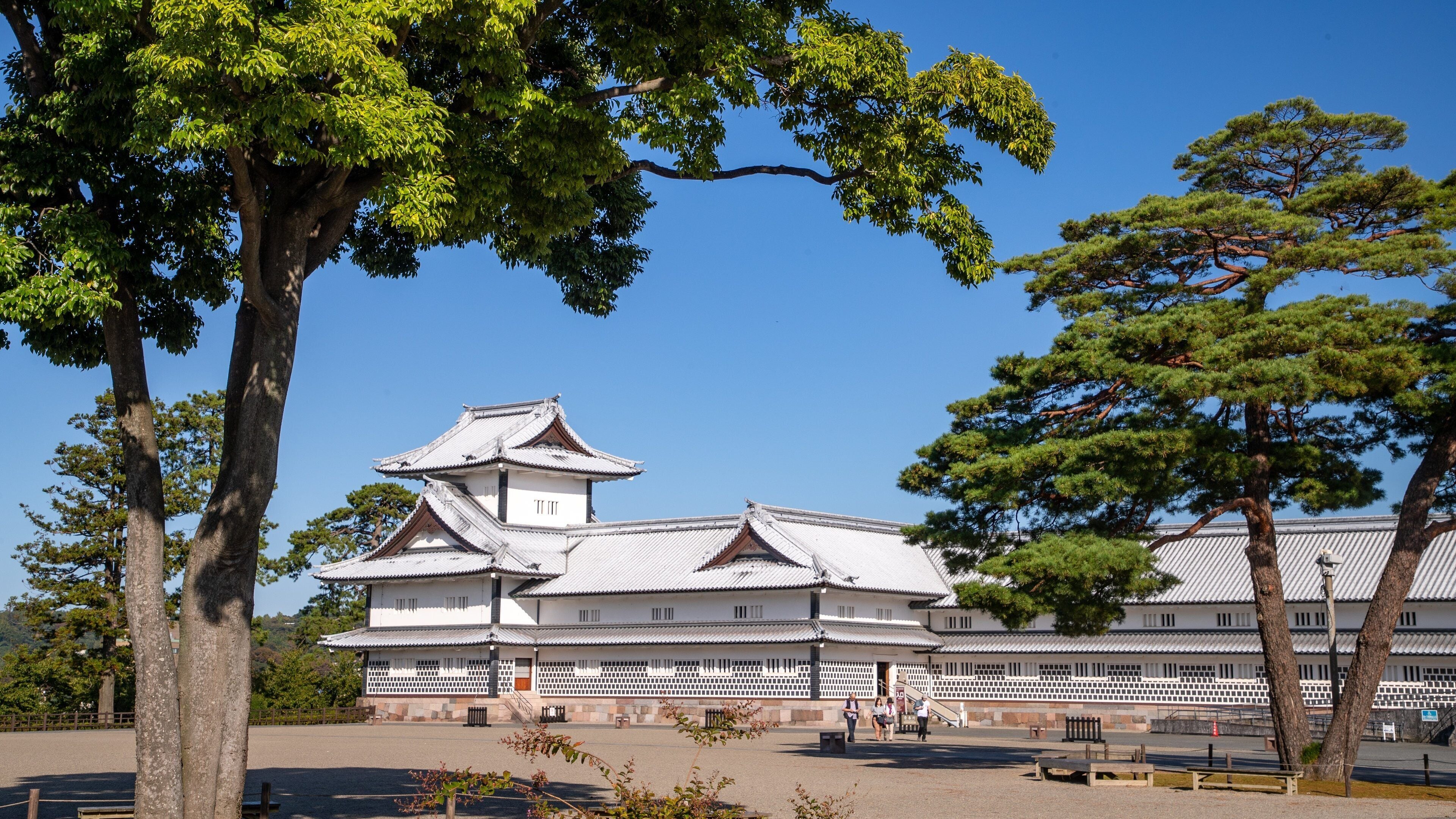 Eine traditionelle japanische Burg mit weißen Wänden und Ziegeldächern, umgeben von Bäumen und wolkenlosem, blauem Himmel.