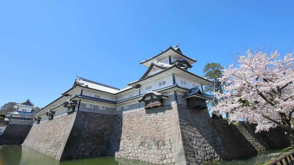 A traditional Japanese castle with stone walls and a moat, surrounded by cherry blossoms.