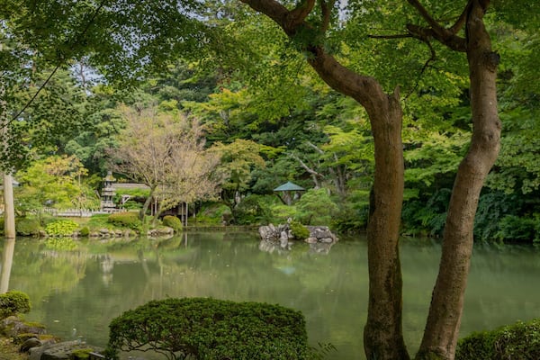 A serene pond surrounded by lush greenery and traditional Japanese architecture.