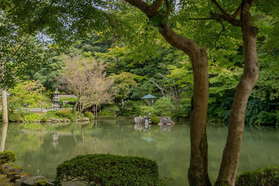 A serene pond surrounded by lush greenery and traditional Japanese architecture.