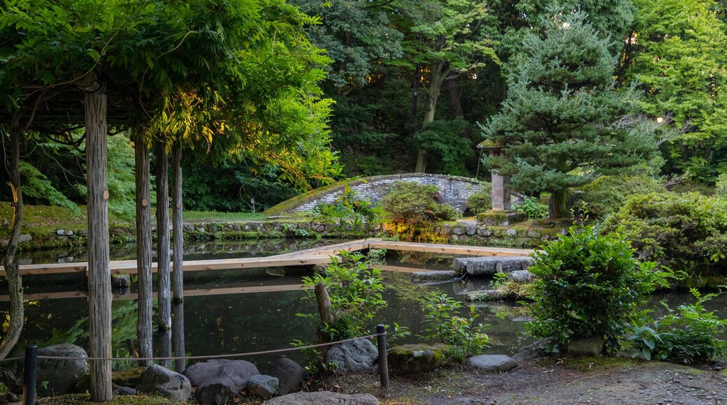 Oyama Shrine featuring a pond and a park