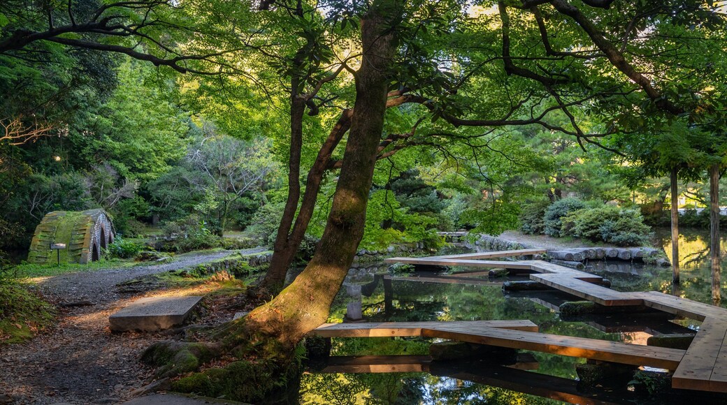 Oyama Shrine showing a pond and a garden