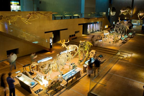 Museum of Natural and Human History showing interior views