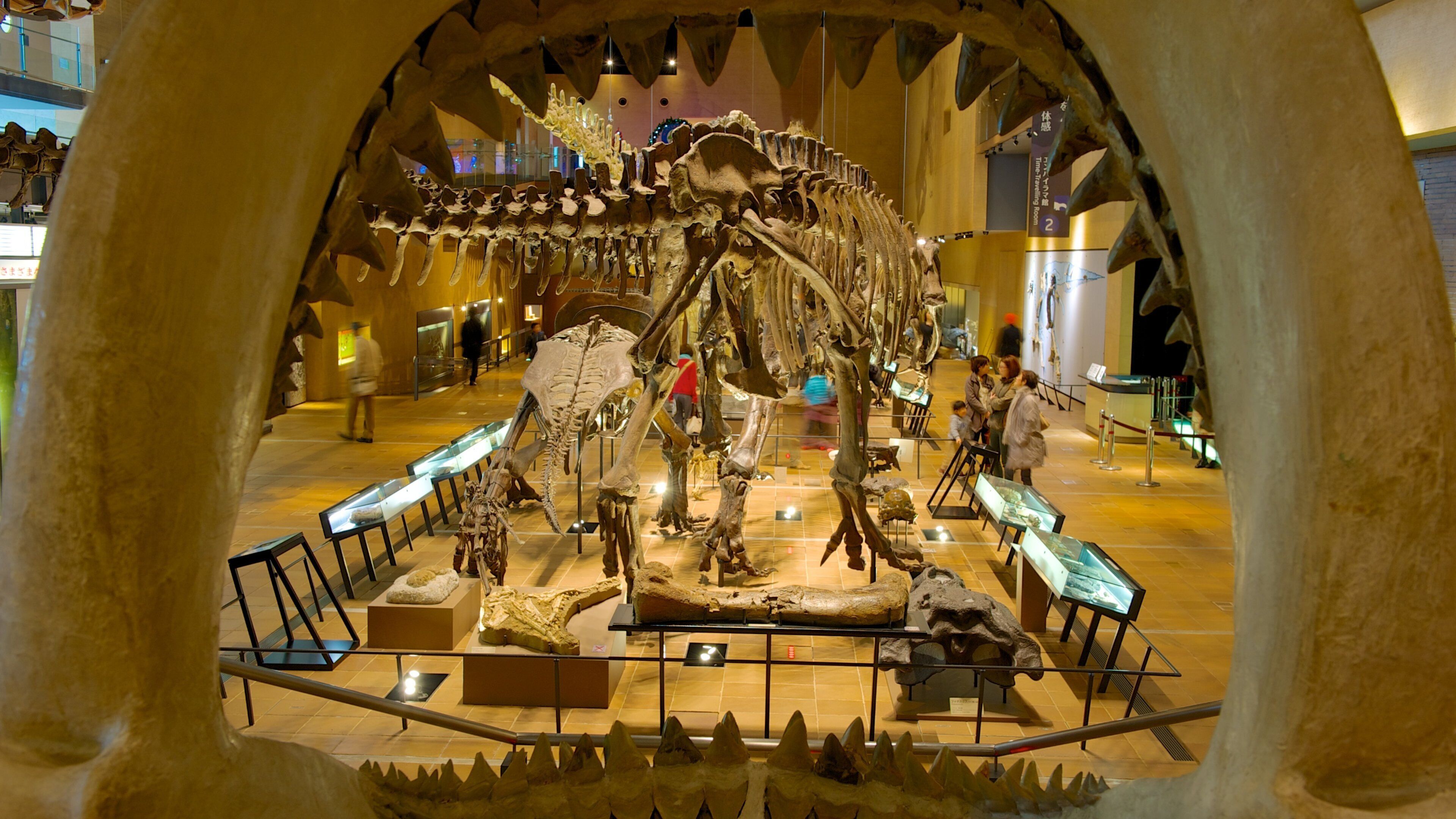 Museum of Natural and Human History which includes interior views