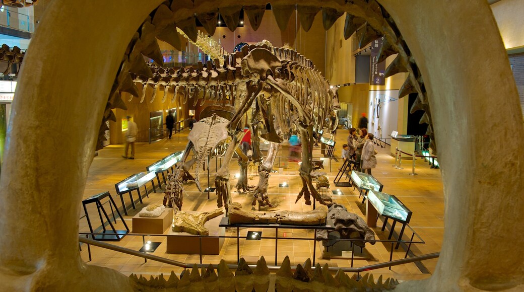 Museum of Natural and Human History which includes interior views