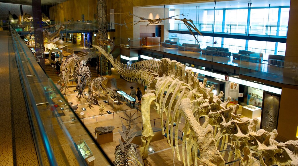 Museum of Natural and Human History which includes interior views