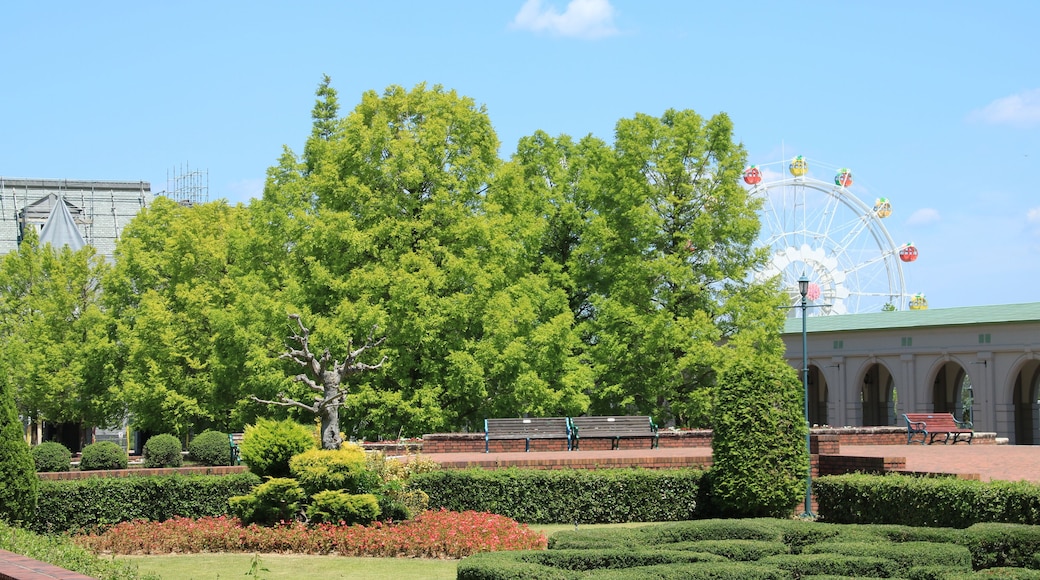 道の駅 神戸フルーツ・フラワーパーク 大沢