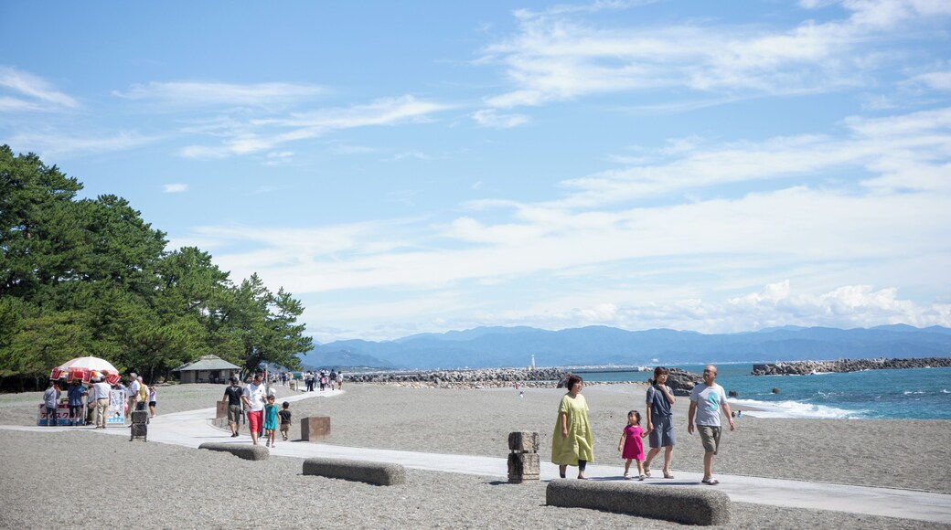 Kochi_KatsurahamaBeach_6102798_02