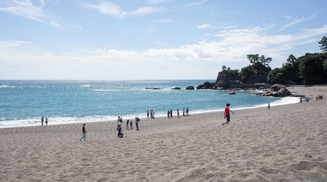 Kochi_KatsurahamaBeach_6102798_01