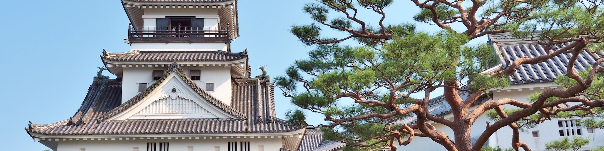 Kochi Castle is a Japanese castle in Kochi, Kochi Prefecture, Japan. Kochi Castle is a hilltop castle that was built by Yamanouchi Kazutoyo in 1601 and was completed in 1611.; Shutterstock ID 50966535