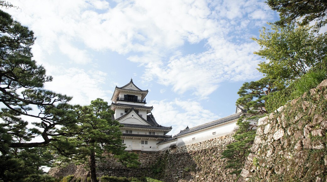 ChĂąteau de KĆchi