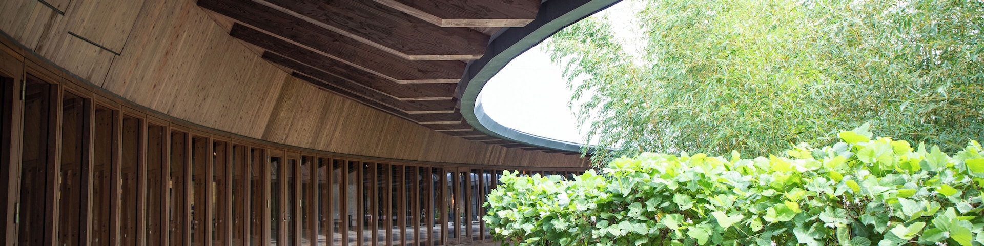 Kochi_MakinoBotanicalGarden_6102802_01