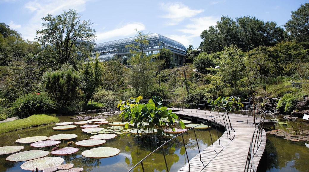 Jardin botanique Makino