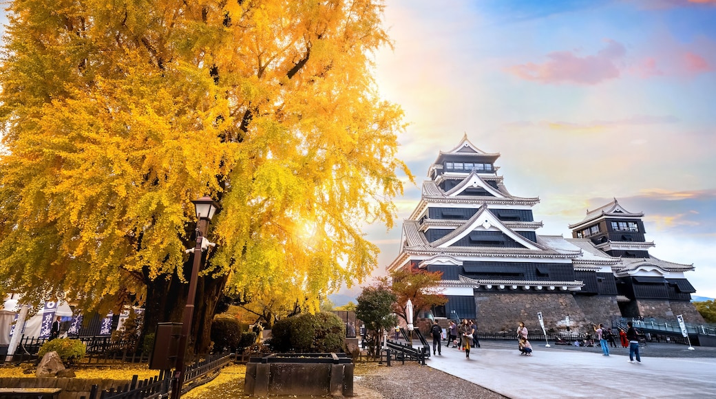 ChĂąteau de Kumamoto