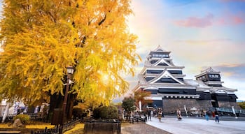 Kumamoto, Japan - Nov 23 2022: Kumamoto Castle's history dates to 1467. In 2006, Kumamoto Castle was listed as one of the 100 Fine Castles of Japan by the Japan Castle Foundation