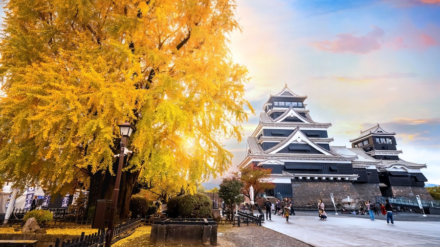 Kumamoto, Japan - Nov 23 2022: Kumamoto Castle's history dates to 1467. In 2006, Kumamoto Castle was listed as one of the 100 Fine Castles of Japan by the Japan Castle Foundation