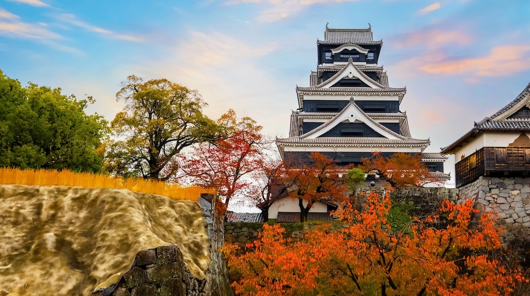 Kumamoto, Japan - Nov 23 2022: Kumamoto Castle's history dates to 1467. In 2006, Kumamoto Castle was listed as one of the 100 Fine Castles of Japan by the Japan Castle Foundation