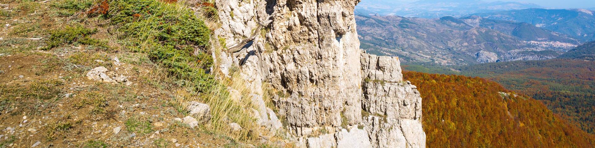 Bosnian pines on top of Serra di Crispo mountain (Garden of Gods), Pollino National Park, southern Apennine Mountains, Italy.