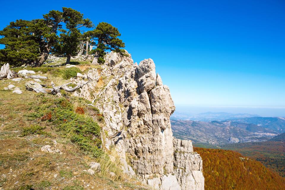 Un pico montañoso rocoso con un pino en la cima y vista del valle abajo.