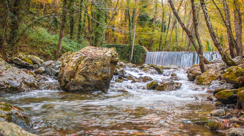 Pollino nasjonalpark