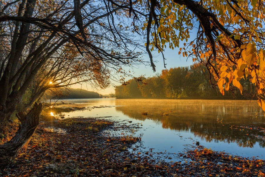 Autumn colors