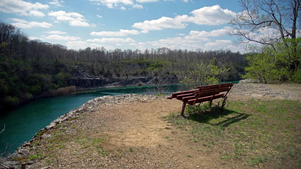 A bench by a river with a forest backdrop.