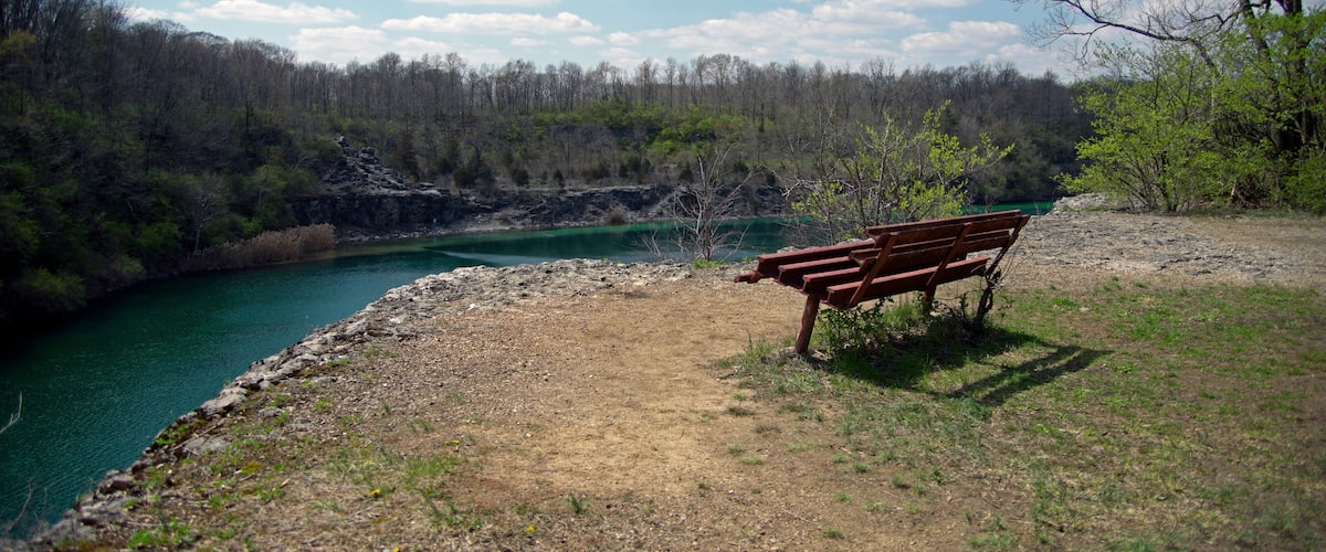A bench by a river with a forest backdrop.