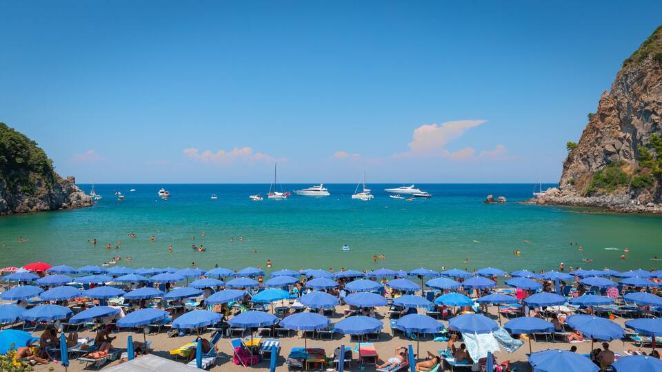 A beach with numerous blue umbrellas and people swimming in the water.