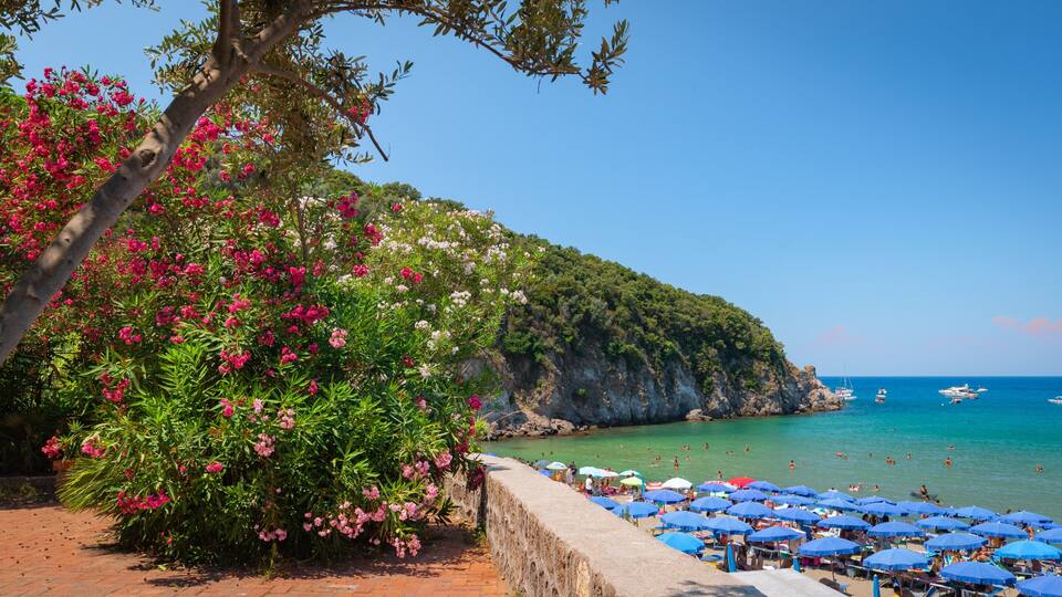 A beach with blue umbrellas, people swimming, and a cliff with trees.