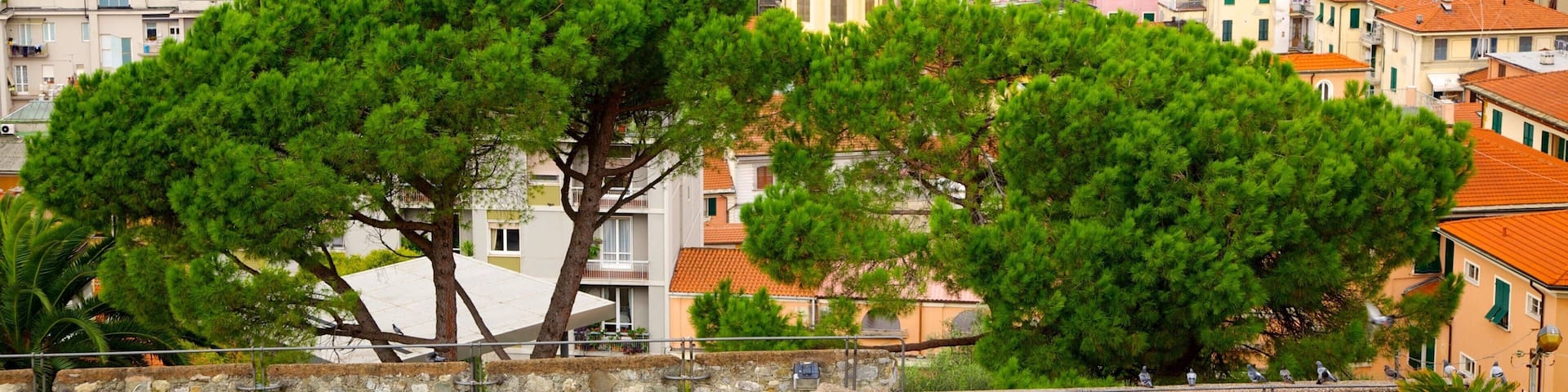 Castello San Giorgio featuring kaupunki