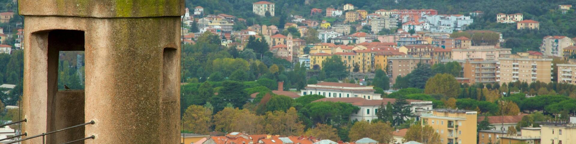 Castello San Giorgio showing a city