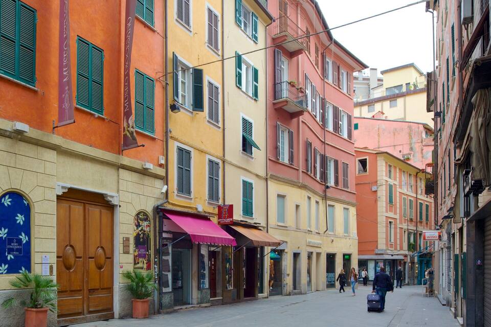 Una calle estrecha bordeada de edificios coloridos, una puerta de madera y una maceta.