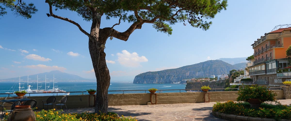 Museo Correale di Terranova showing wildflowers, a park and a coastal town