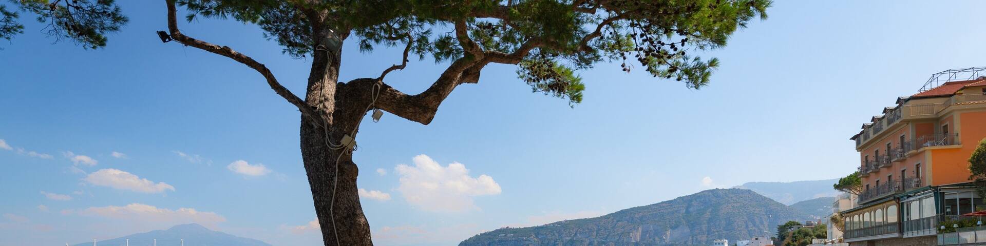Museo Correale di Terranova showing wildflowers, a park and a coastal town