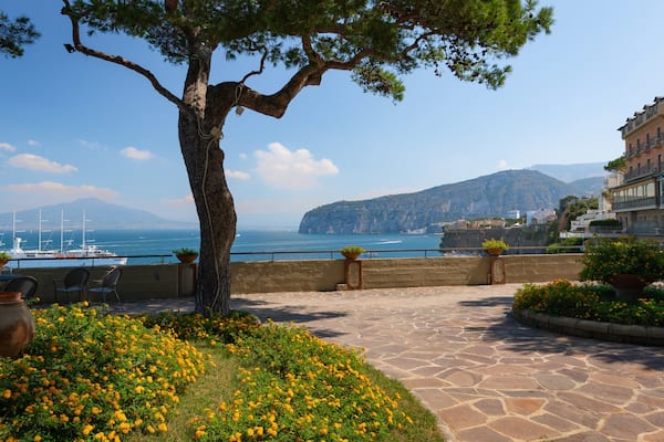 Museo Correale di Terranova showing wildflowers, a park and a coastal town