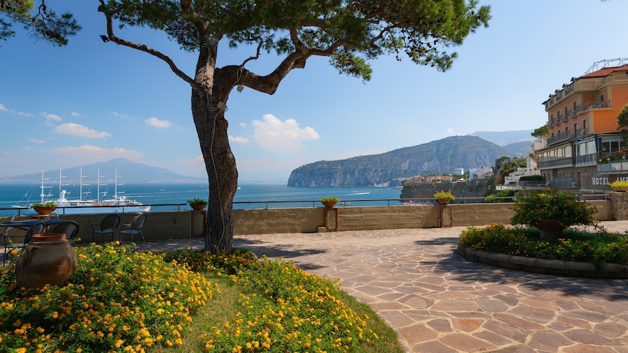 Museo Correale di Terranova showing wildflowers, a park and a coastal town