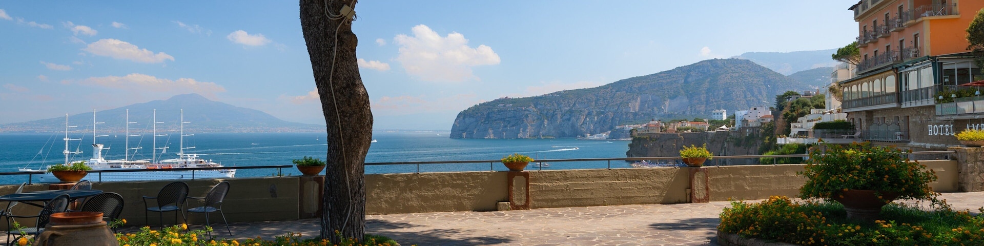 Museo Correale di Terranova showing wildflowers, a park and a coastal town