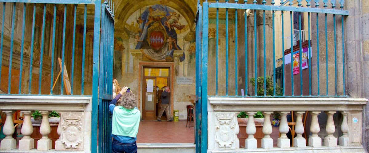 Sedile Dominova which includes street scenes and heritage architecture as well as an individual femail