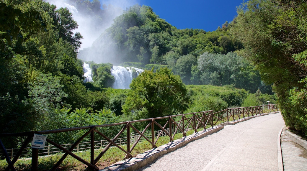 Cascata delle Marmore which includes a cascade and landscape views