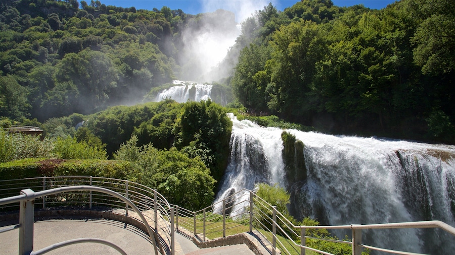 Una cascada escalonada rodeada de exuberante vegetación.