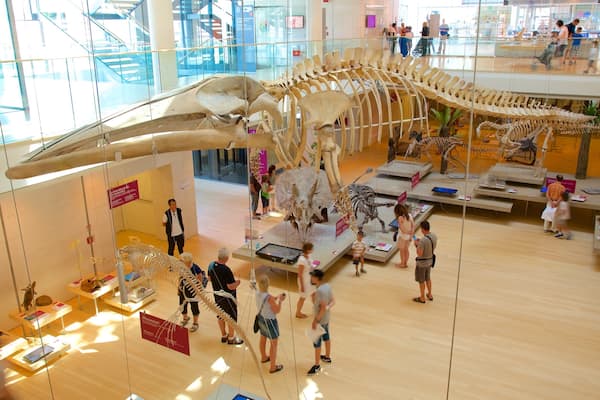 Museo Tridentino di Scienze Naturali showing interior views as well as a large group of people