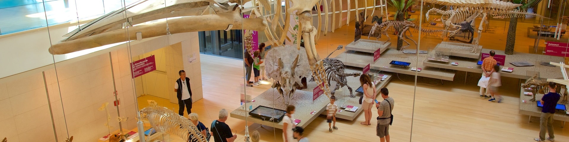 Museo Tridentino di Scienze Naturali qui includes vues intérieures aussi bien que important groupe de personnes
