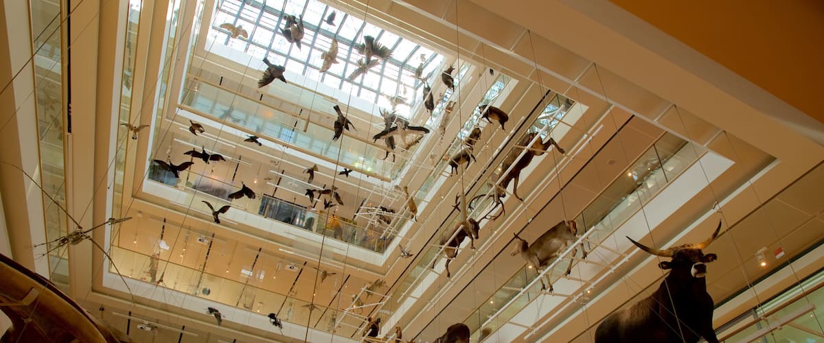 Museo Tridentino di Scienze Naturali showing art and interior views