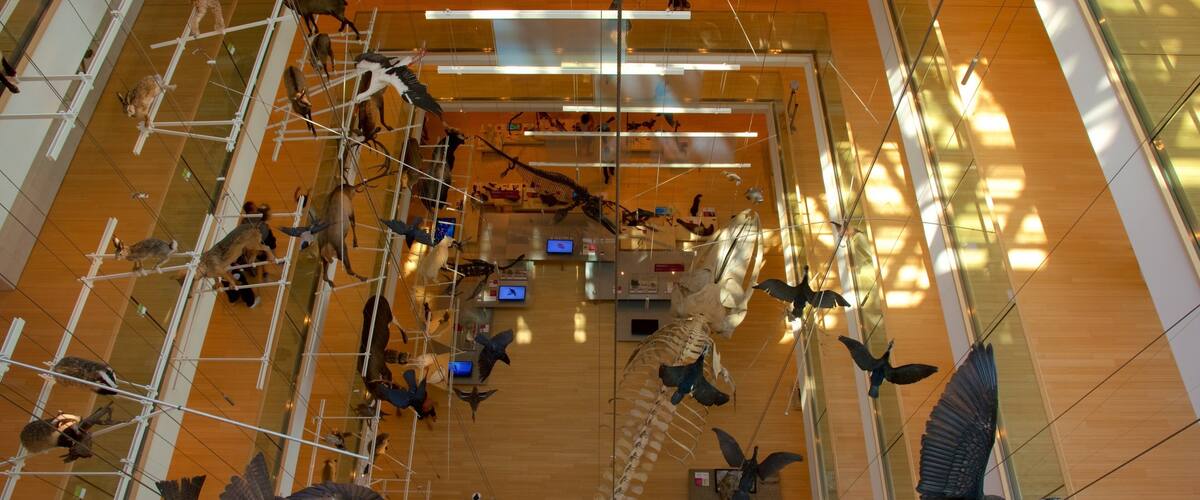 Museo Tridentino di Scienze Naturali which includes interior views and bird life